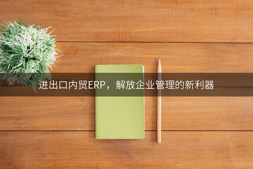 进出口内贸ERP，解放企业管理的新利器