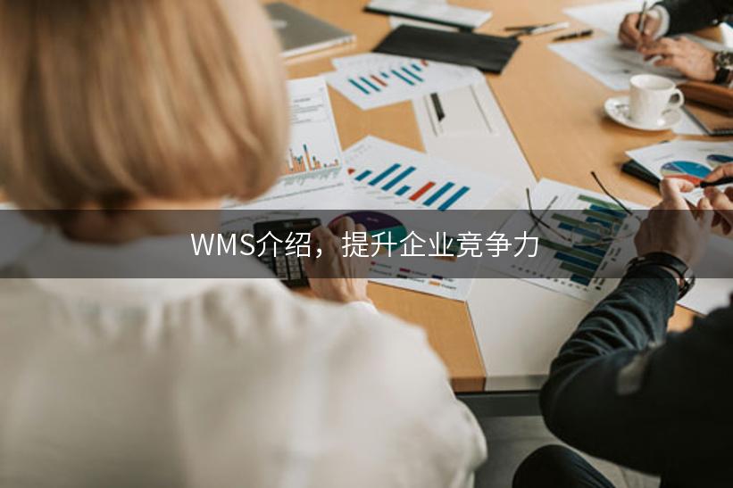 WMS介绍，提升企业竞争力