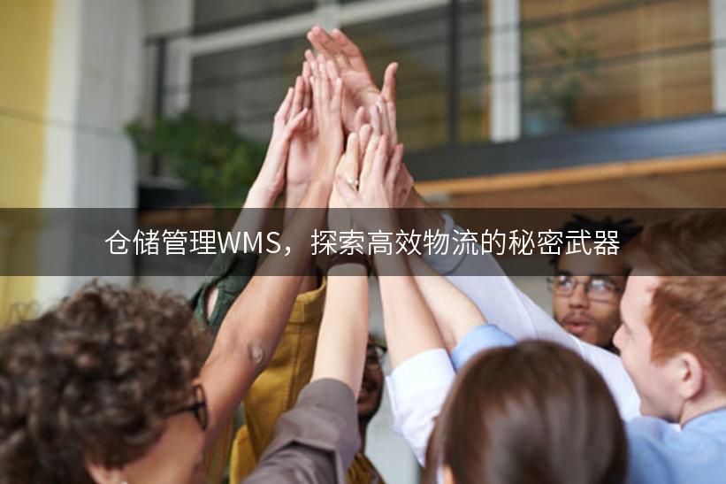 仓储管理WMS，探索高效物流的秘密武器