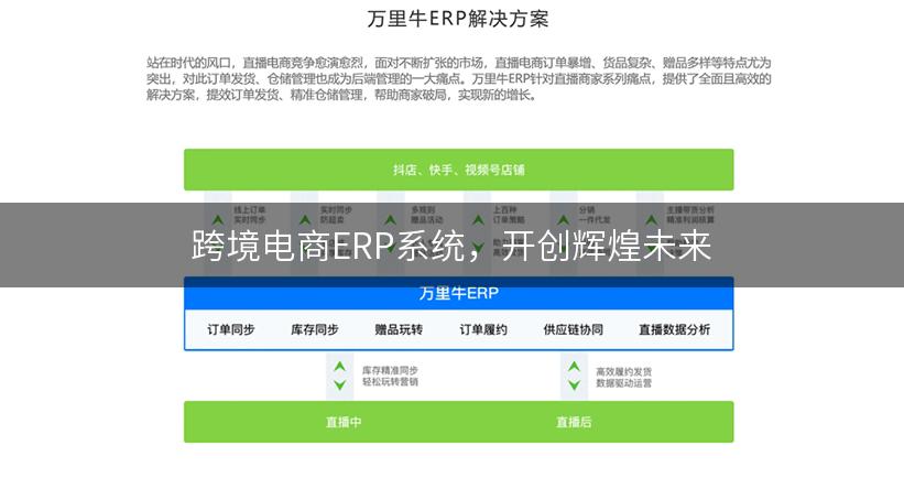 跨境电商ERP系统，开创辉煌未来