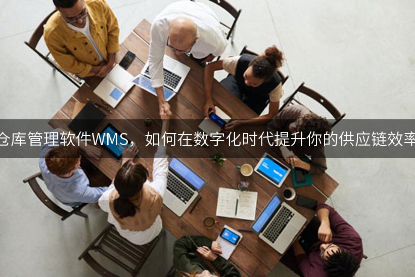 仓库管理软件WMS，如何在数字化时代提升你的供应链效率