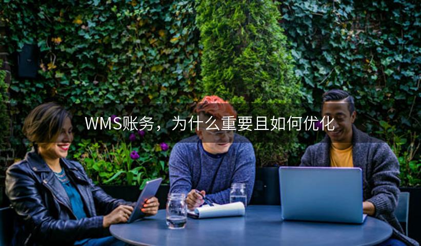 WMS账务，为什么重要且如何优化