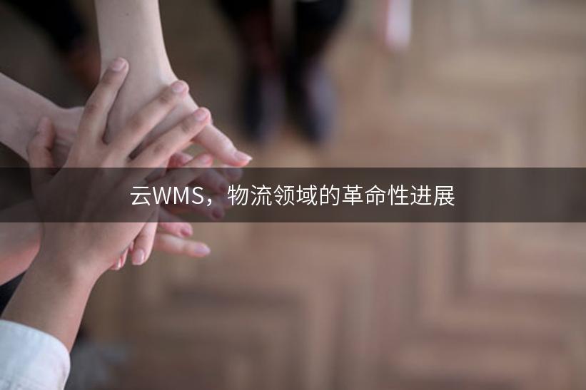 云WMS，物流领域的革命性进展