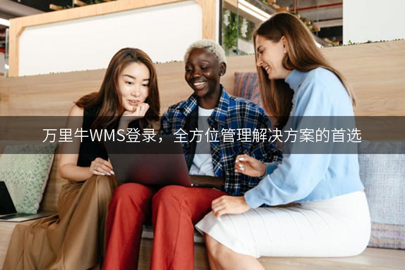 万里牛WMS登录，全方位管理解决方案的首选