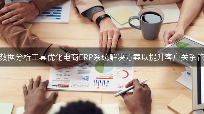 如何通过数据分析工具优化电商ERP系统解决方案以提升客户关系管理效率？