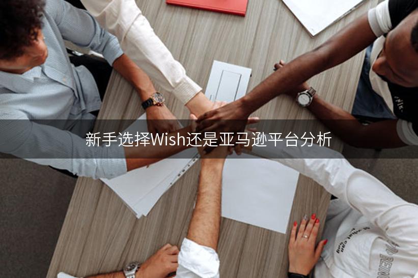 新手选择Wish还是亚马逊平台分析