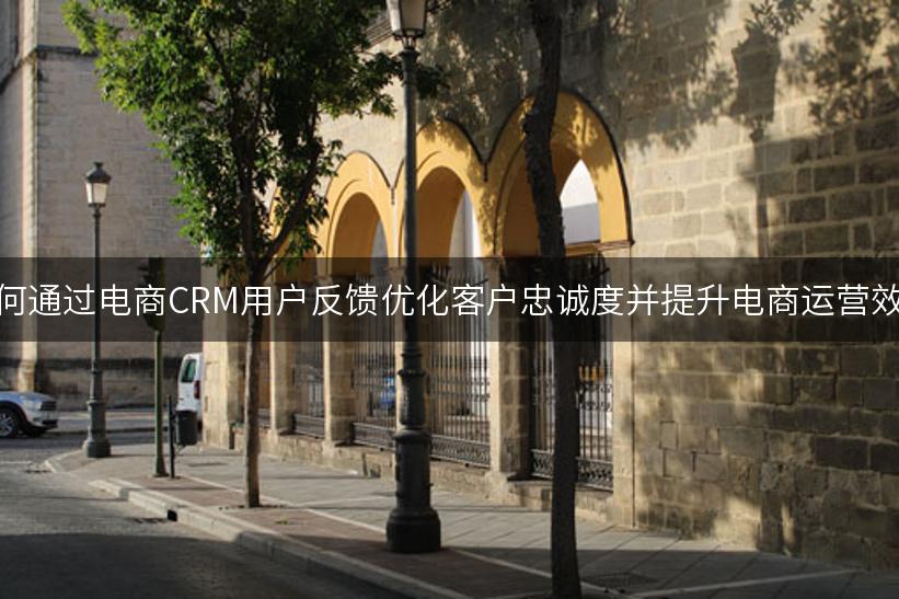 如何通过电商CRM用户反馈优化客户忠诚度并提升电商运营效率