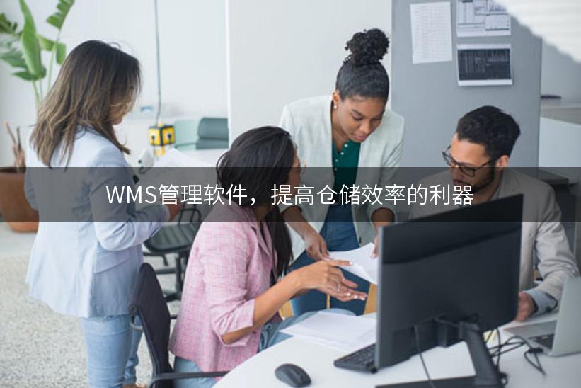 WMS管理软件，提高仓储效率的利器