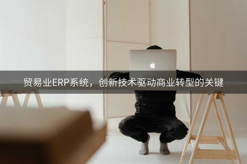 贸易业ERP系统，创新技术驱动商业转型的关键