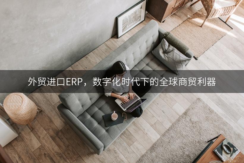 外贸进口ERP，数字化时代下的全球商贸利器