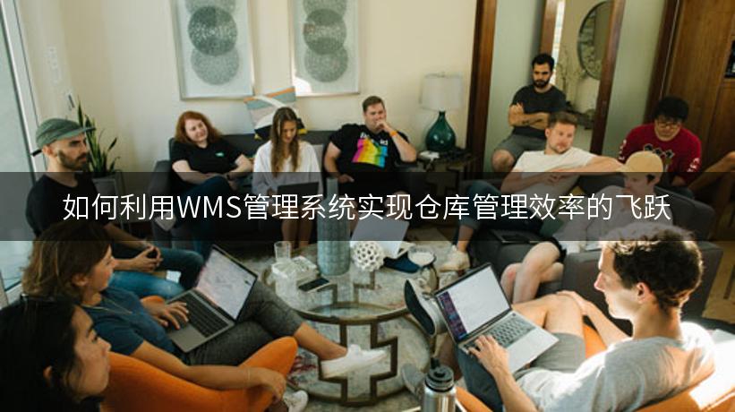 如何利用WMS管理系统实现仓库管理效率的飞跃