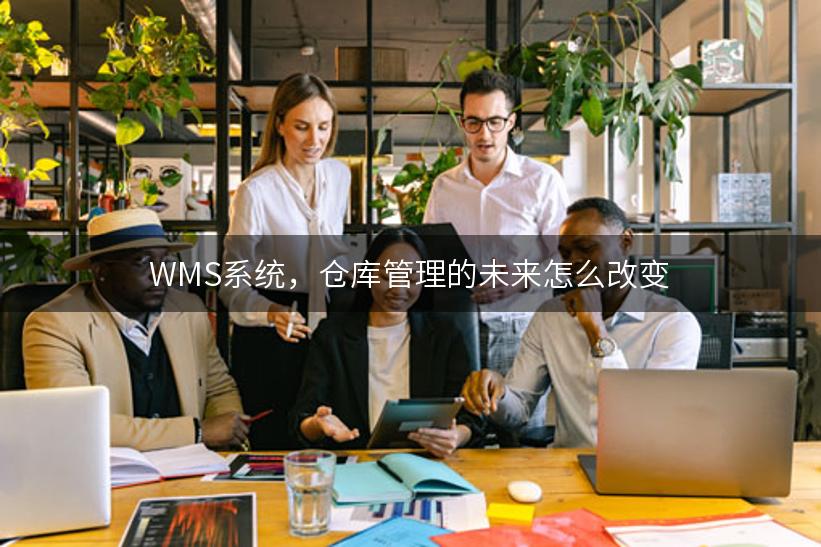 WMS系统，仓库管理的未来怎么改变