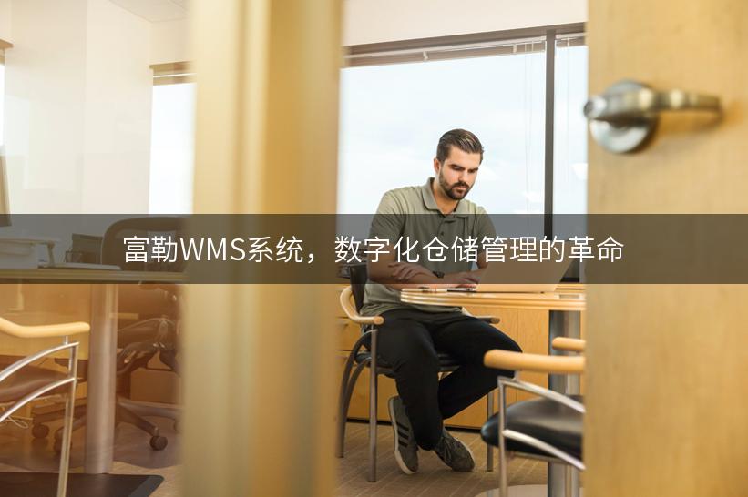 富勒WMS系统，数字化仓储管理的革命