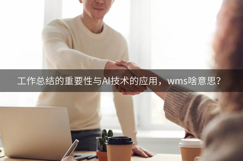 工作总结的重要性与AI技术的应用，wms啥意思？