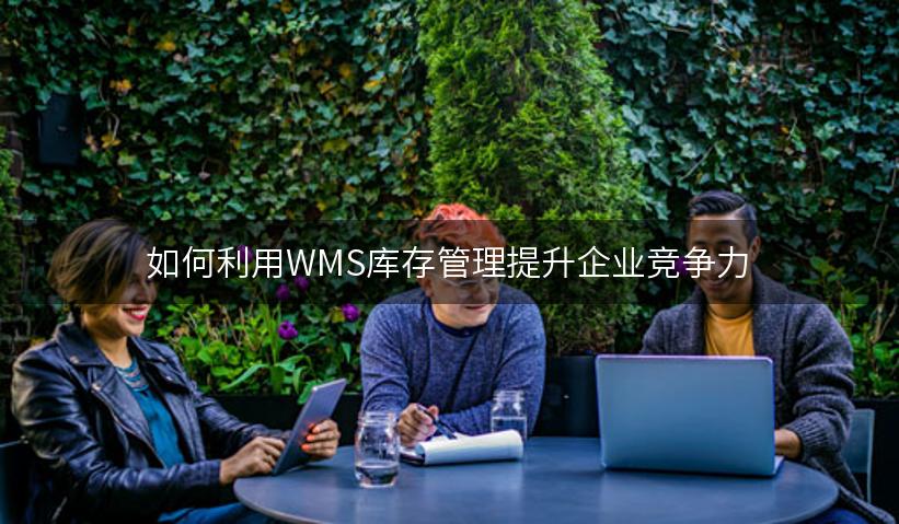 如何利用WMS库存管理提升企业竞争力