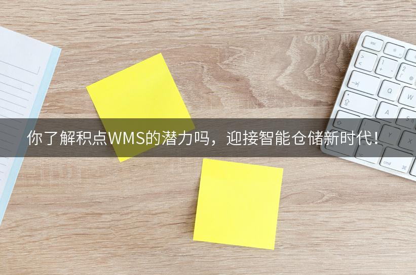 你了解积点WMS的潜力吗，迎接智能仓储新时代！