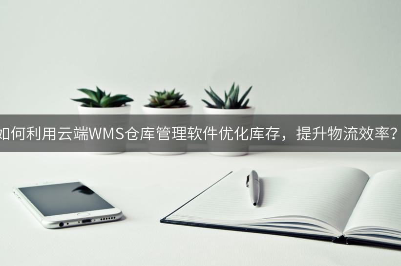 如何利用云端WMS仓库管理软件优化库存，提升物流效率？