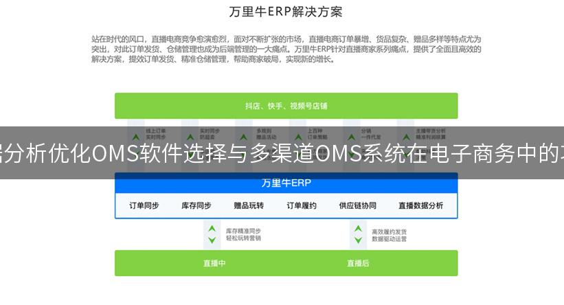 如何通过数据分析优化OMS软件选择与多渠道OMS系统在电子商务中的项目管理优势