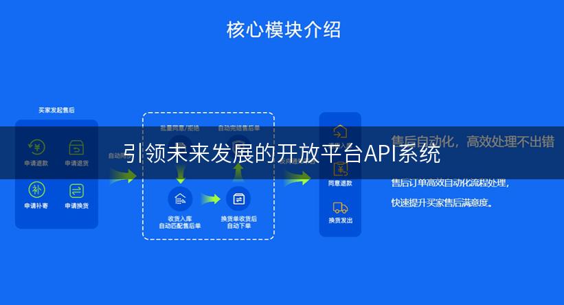 引领未来发展的开放平台API系统