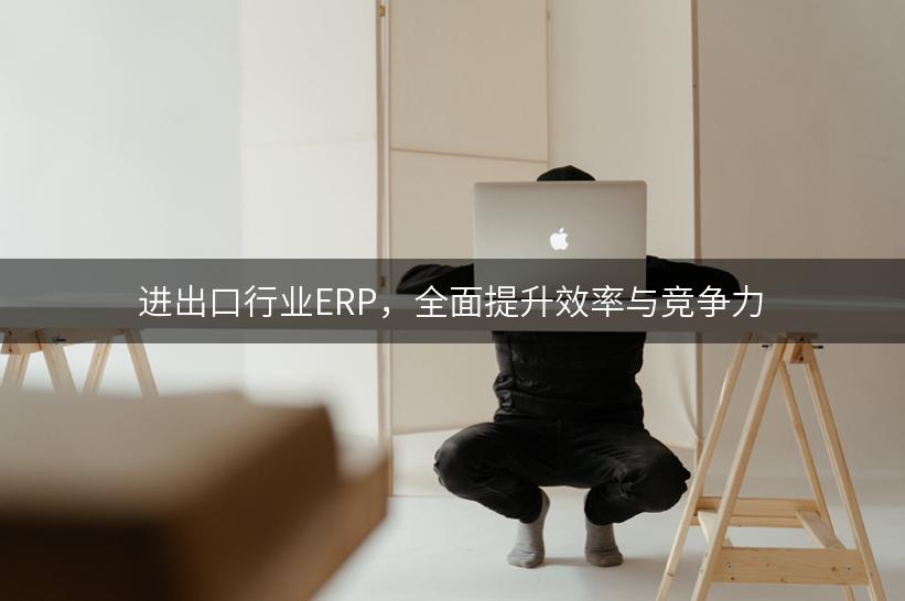 进出口行业ERP，全面提升效率与竞争力