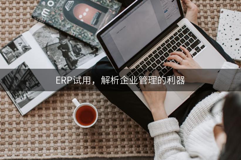 ERP试用，解析企业管理的利器