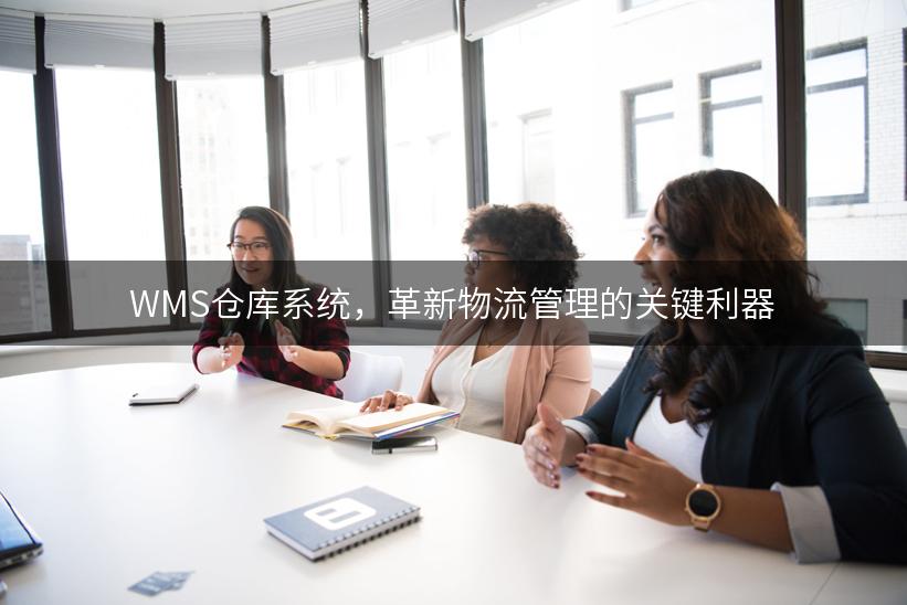 WMS仓库系统，革新物流管理的关键利器