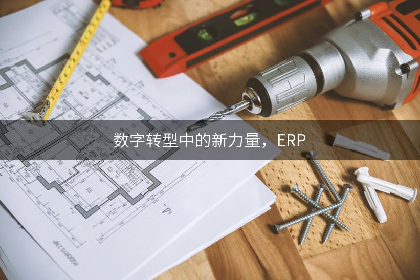 数字转型中的新力量，ERP