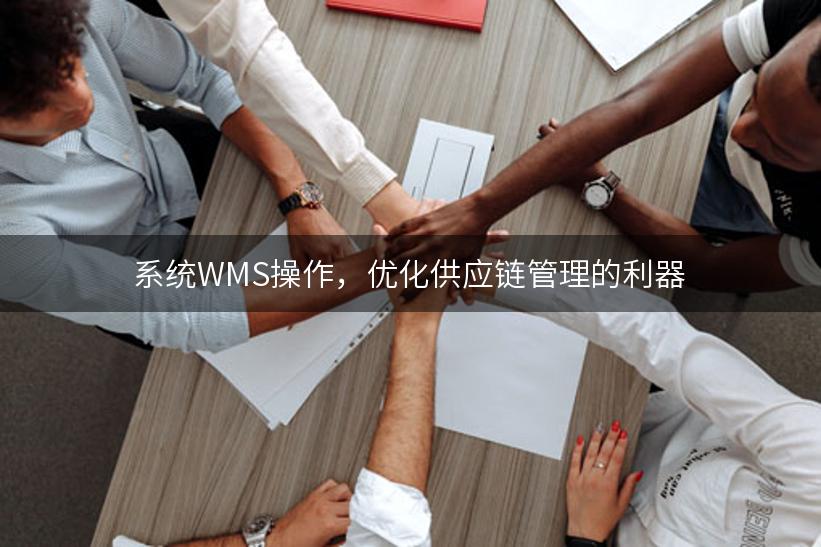 系统WMS操作，优化供应链管理的利器