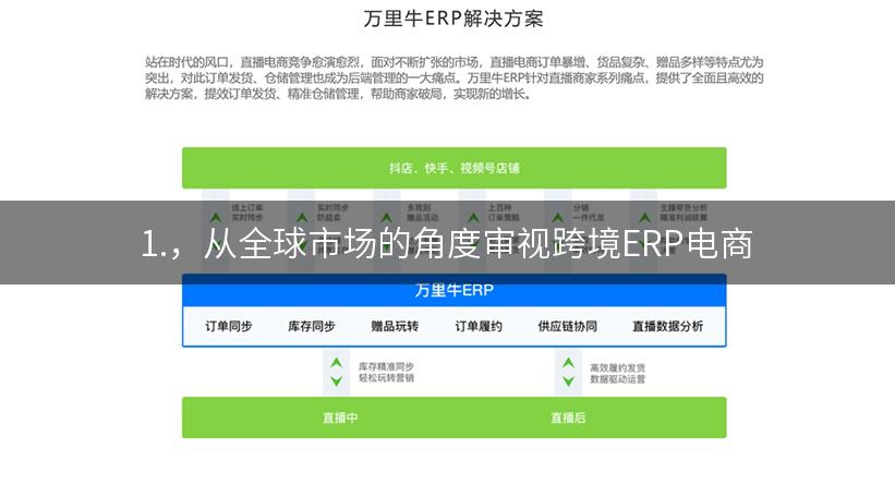 1.，从全球市场的角度审视跨境ERP电商