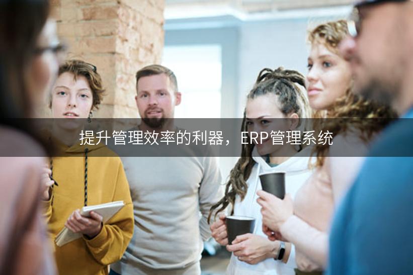 提升管理效率的利器，ERP管理系统