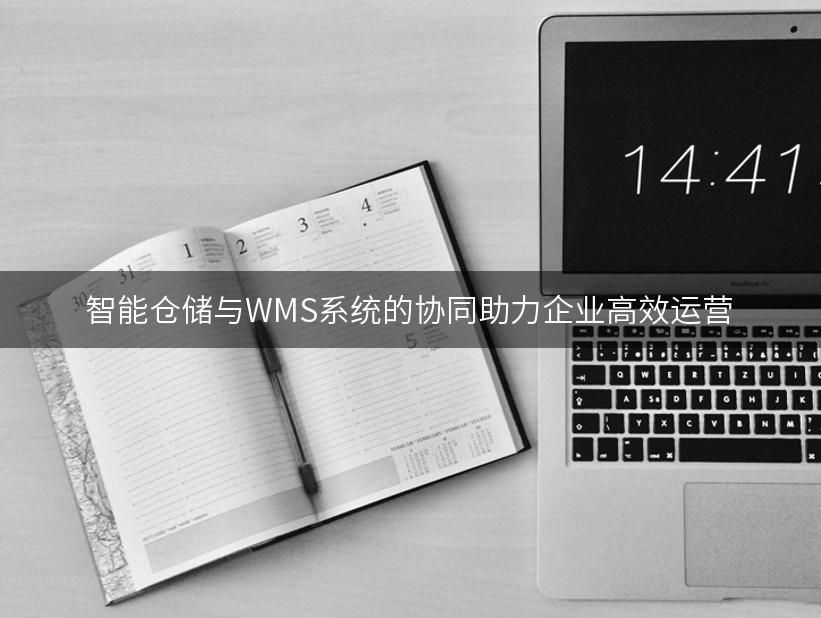 智能仓储与WMS系统的协同助力企业高效运营