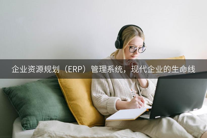 企业资源规划（ERP）管理系统，现代企业的生命线