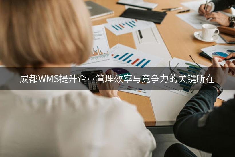 成都WMS提升企业管理效率与竞争力的关键所在