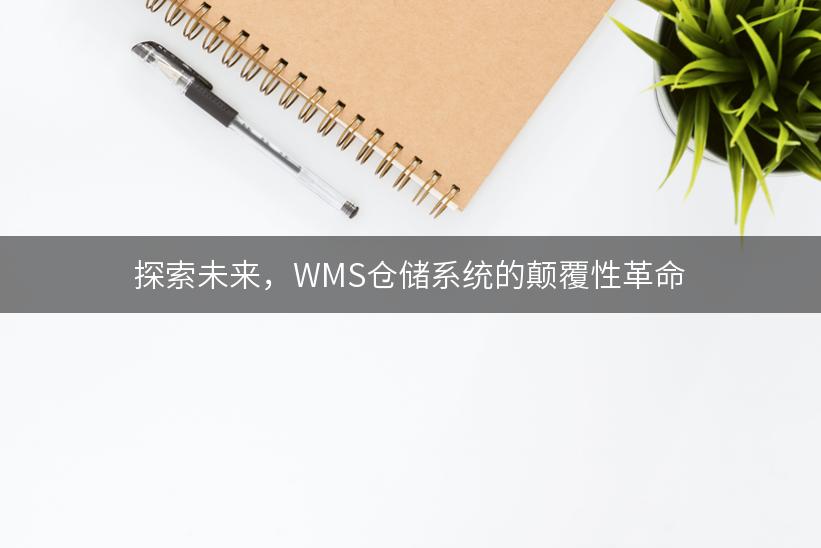 探索未来，WMS仓储系统的颠覆性革命