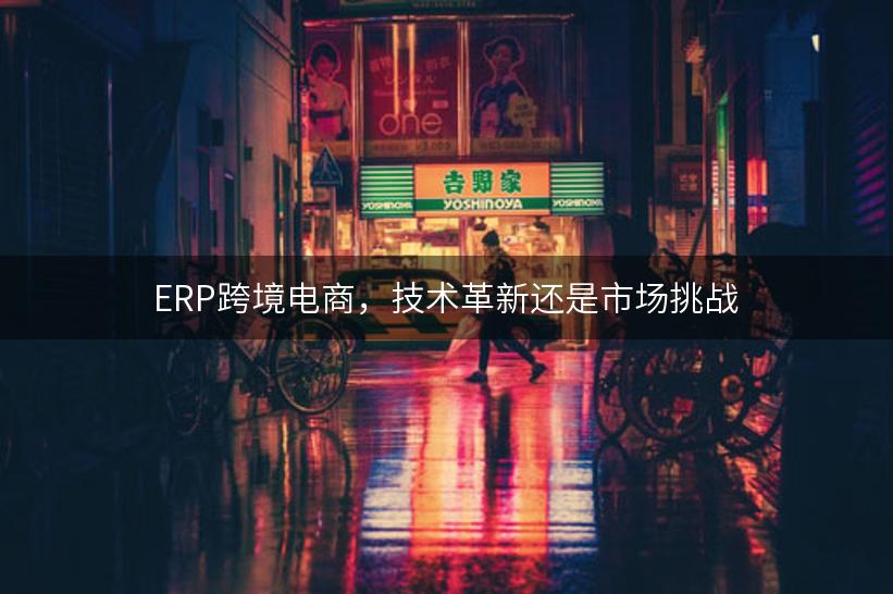 ERP跨境电商，技术革新还是市场挑战