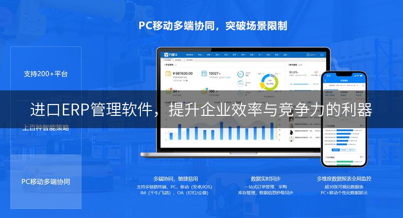 进口ERP管理软件，提升企业效率与竞争力的利器