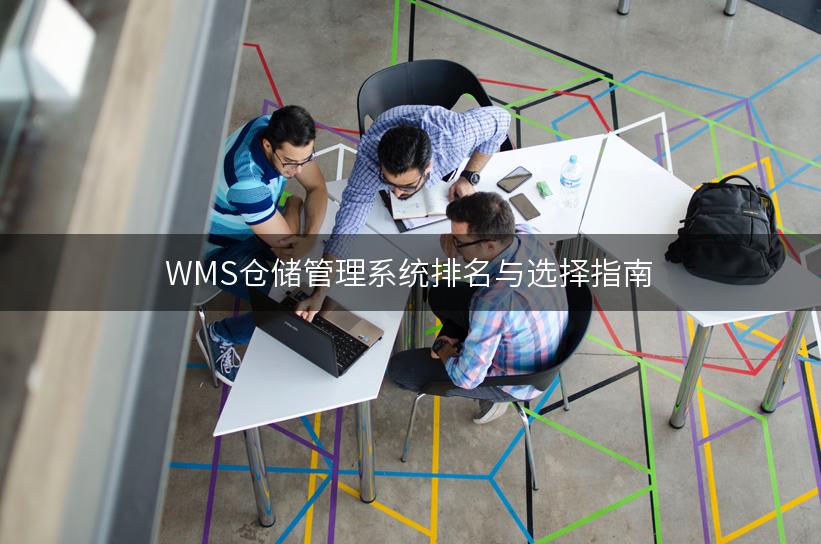 WMS仓储管理系统排名与选择指南