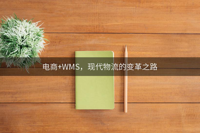 电商+WMS，现代物流的变革之路