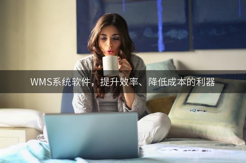 WMS系统软件，提升效率、降低成本的利器