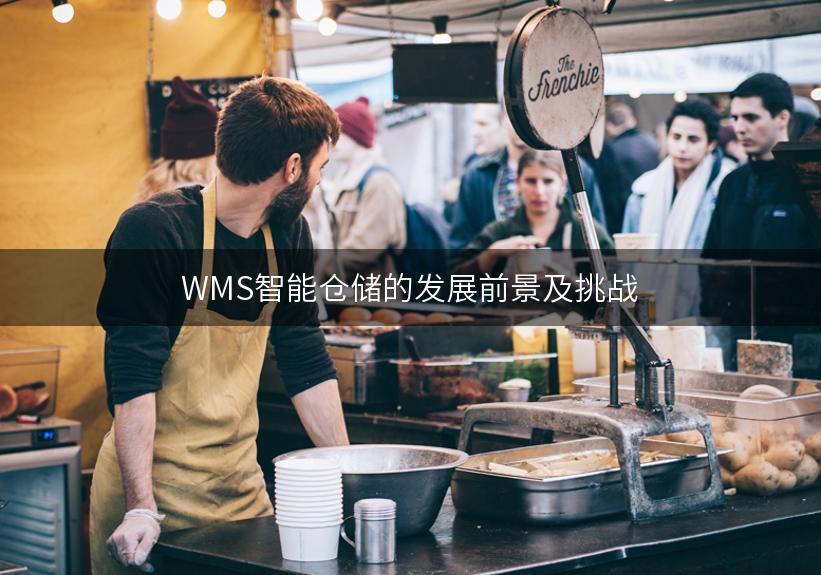 WMS智能仓储的发展前景及挑战