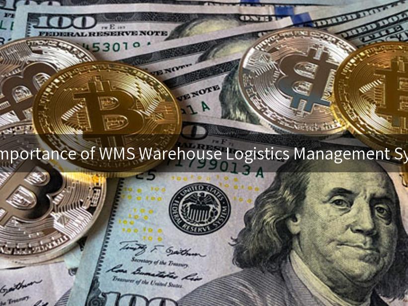 The Importance of WMS Warehouse Logistics Management System