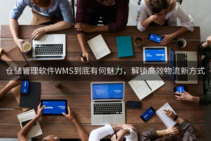 仓储管理软件WMS到底有何魅力，解锁高效物流新方式