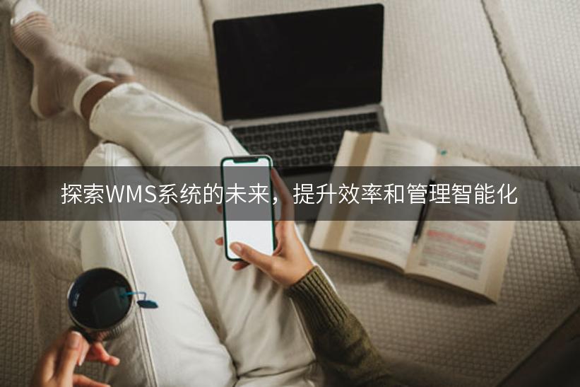 探索WMS系统的未来，提升效率和管理智能化