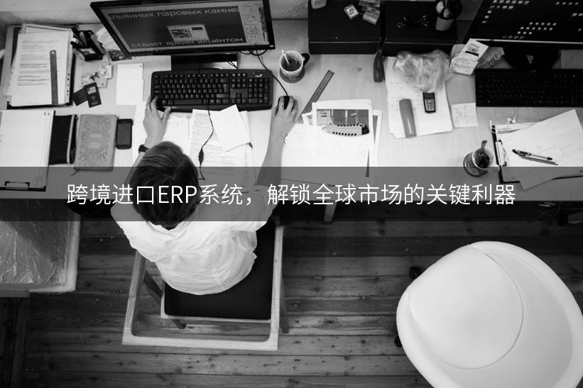 跨境进口ERP系统，解锁全球市场的关键利器