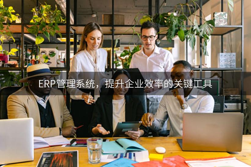 ERP管理系统，提升企业效率的关键工具