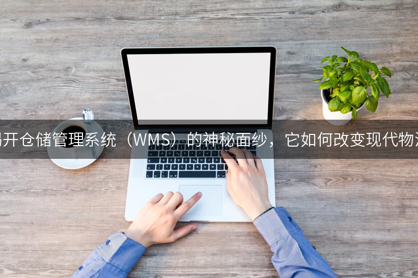 揭开仓储管理系统（WMS）的神秘面纱，它如何改变现代物流