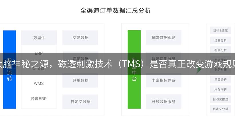 大脑神秘之源，磁透刺激技术（TMS）是否真正改变游戏规则