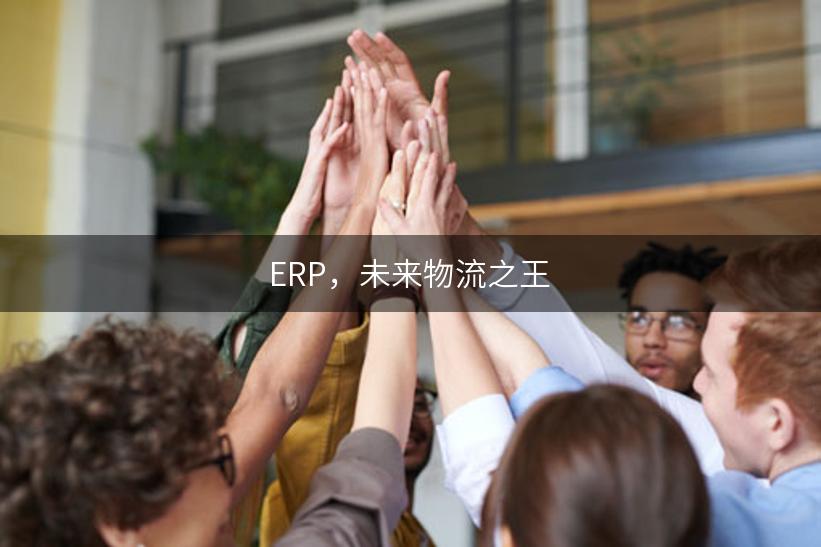 ERP，未来物流之王