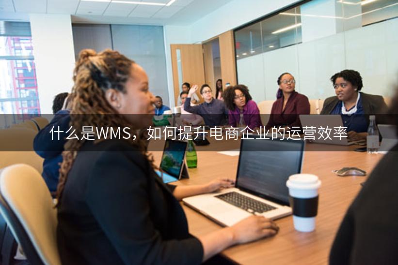 什么是WMS，如何提升电商企业的运营效率