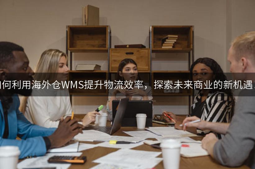 如何利用海外仓WMS提升物流效率，探索未来商业的新机遇！